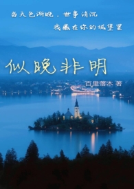 似明似暗小说