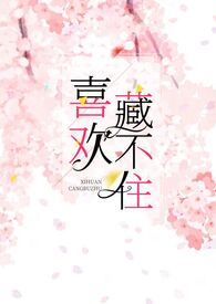 喜欢藏不住十夜灯小说